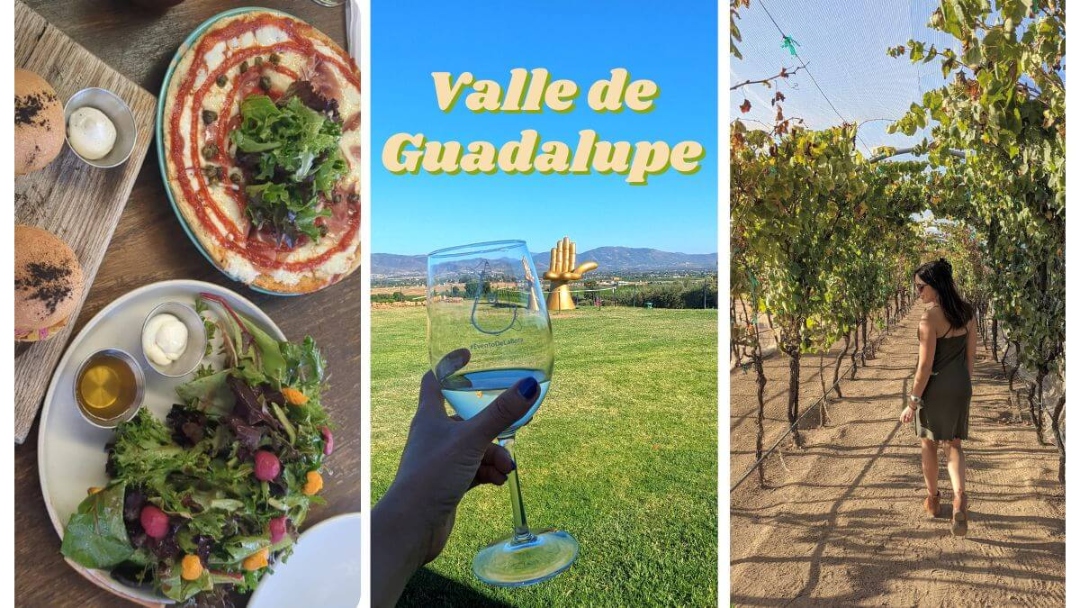 Valle de Guadalupe: Everything You Need for An Unforgettable Trip