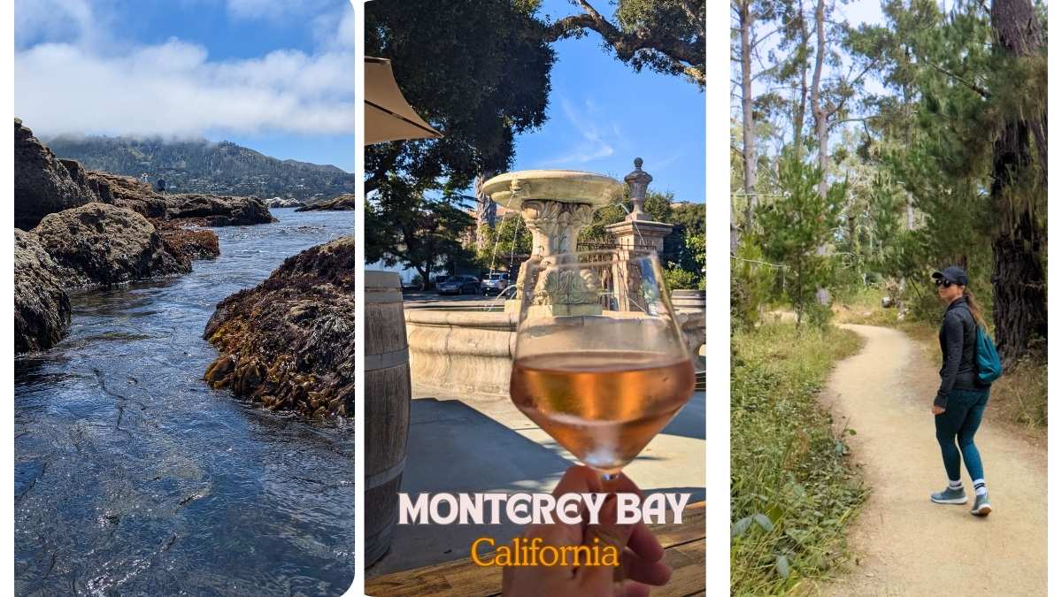 Visit Monterey Bay